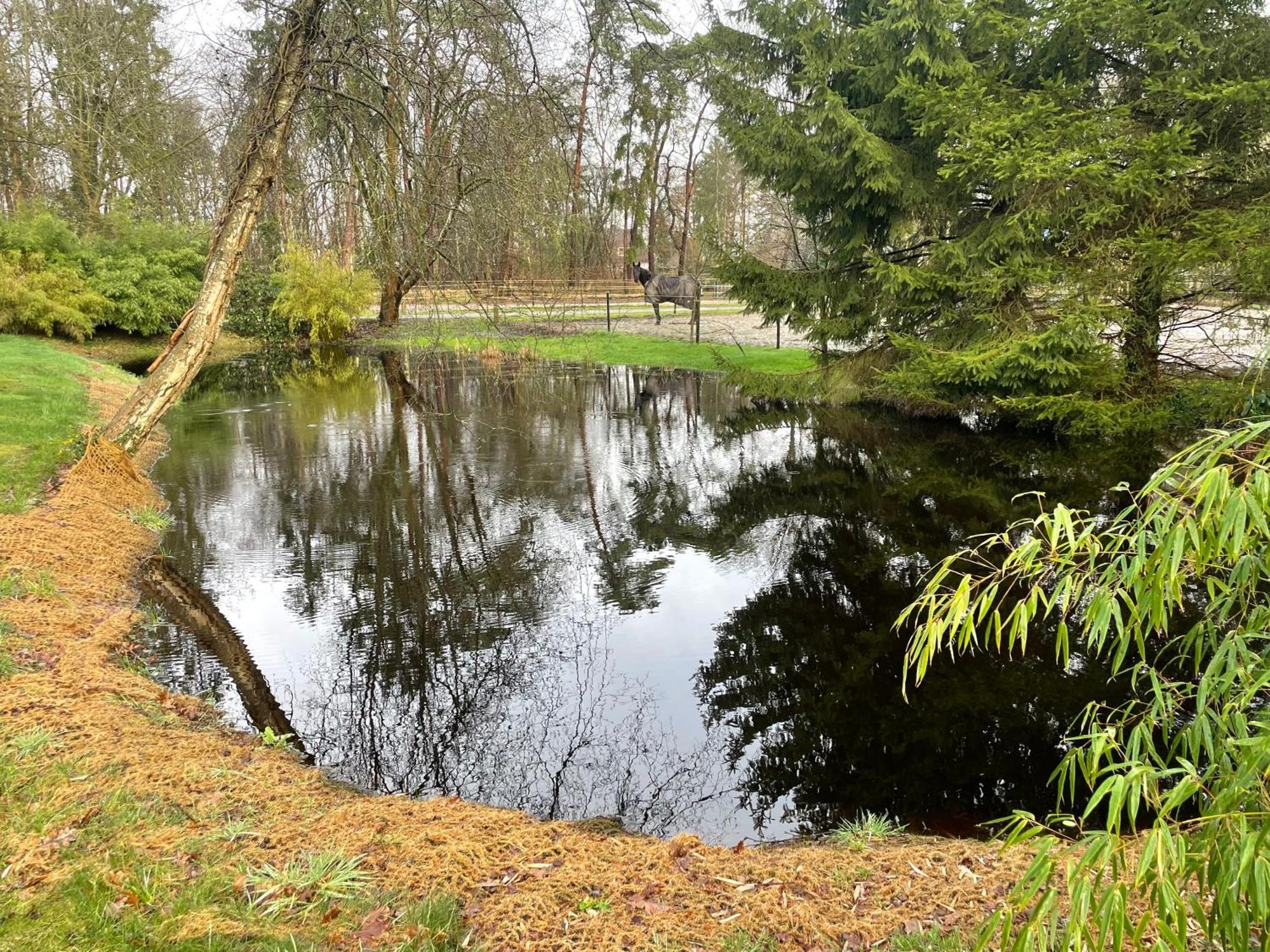 Haus Am Teich